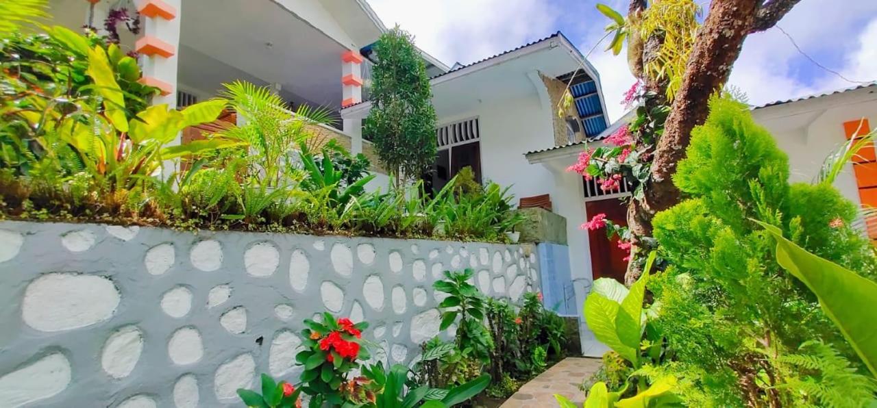Bintang Bungalow Tour & Travel Kelimutu Luaran gambar