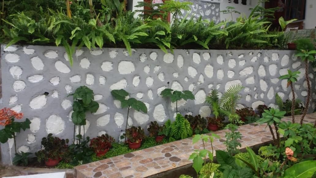 Bintang Bungalow Tour & Travel Kelimutu Luaran gambar